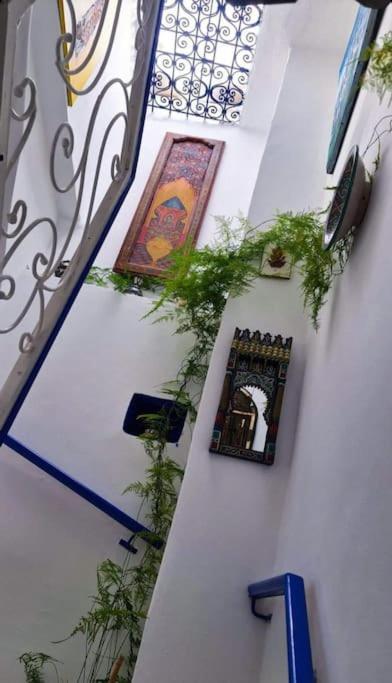 فيلا Coco Chawen شفشاون المظهر الخارجي الصورة