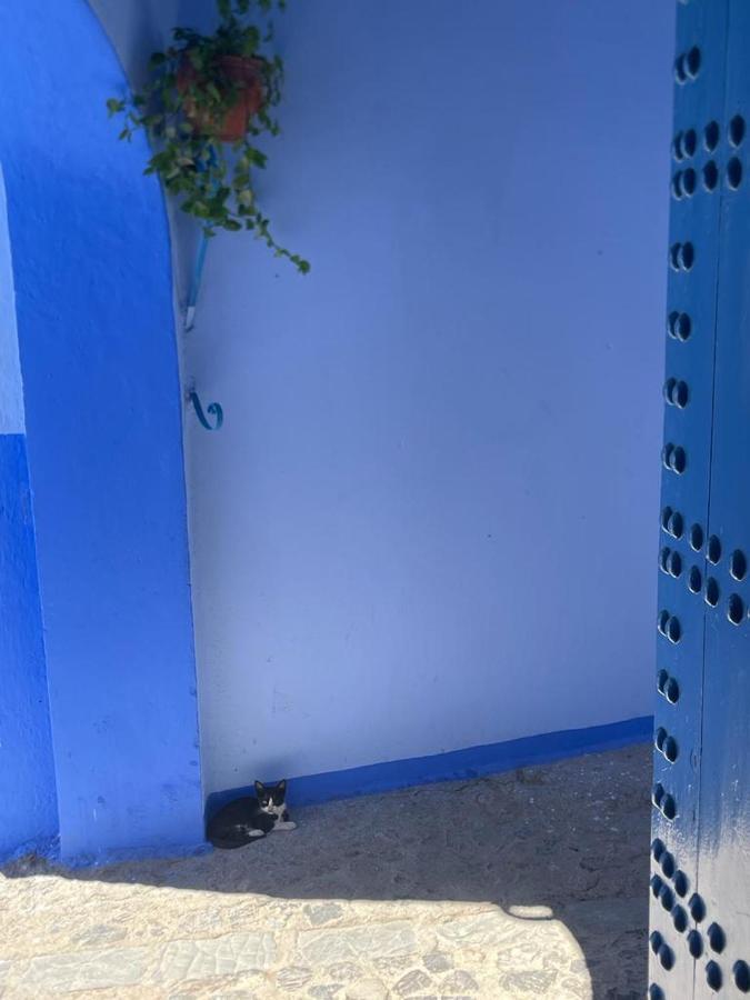 فيلا Coco Chawen شفشاون المظهر الخارجي الصورة